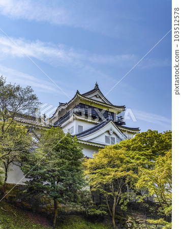 Okazaki Castle in spring seen from the north side (Aichi Prefecture) Okazaki Castle in spring seen from the north side (Aichi Prefecture) 103512578