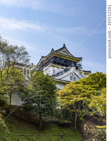 Okazaki Castle in spring seen from the north side (Aichi Prefecture) 103512581
