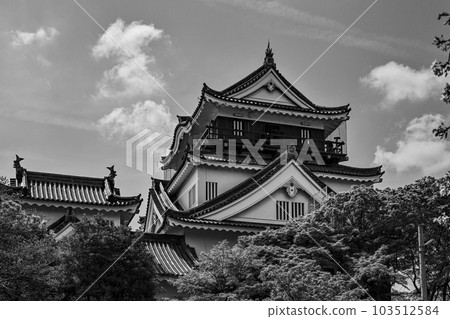從北側看春天的岡崎城（愛知縣） 103512584