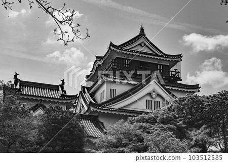 Okazaki Castle in spring seen from the north side (Aichi Prefecture) Okazaki Castle in spring seen from the north side (Aichi Prefecture) 103512585