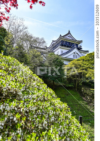 Okazaki Castle in spring seen from the north side (Aichi Prefecture) Okazaki Castle in spring seen from the north side (Aichi Prefecture) 103512609