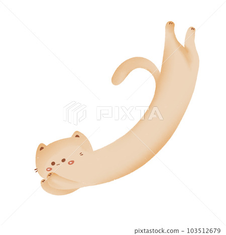 cute cat cute cat 103512679