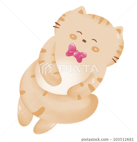 cute cat cute cat 103512681