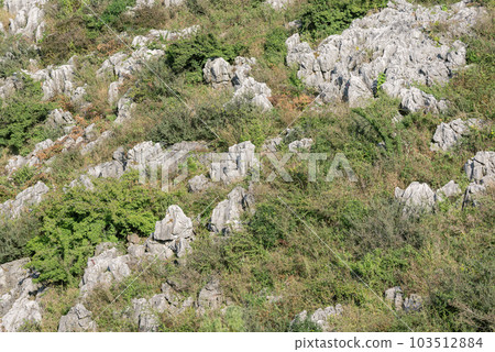 Stones and small trees on the mountain. Kunming. 103512884
