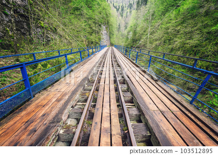 Narrow railway in the deep gorge. Caucasus. 103512895