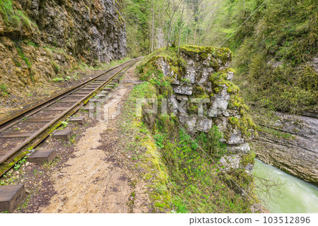 Narrow railway in the deep gorge. Caucasus. 103512896