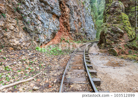 Narrow railway in the deep gorge. 103512899
