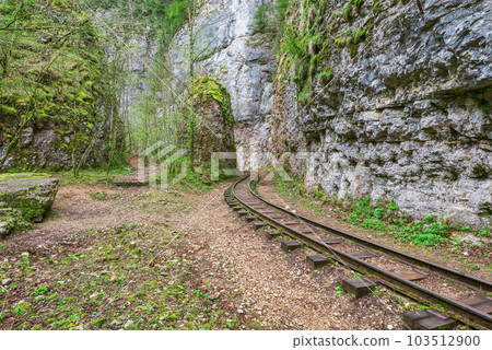 Narrow railway in the deep gorge. 103512900
