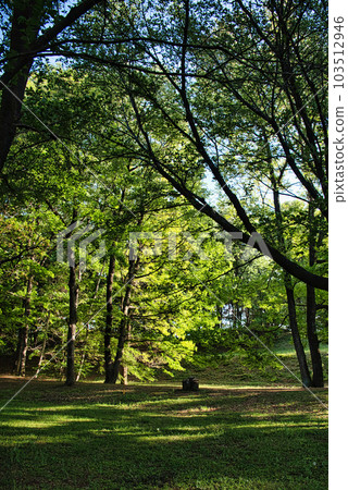 在清爽的季節漫步在有廢墟的公園 在清爽的季節漫步在有廢墟的公園 103512946