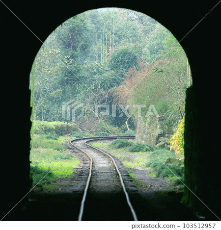 Railway tunnel in the tropical forest. Railway tunnel in the tropical forest. 103512957