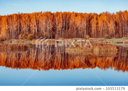 Forest by the lake at cold autumn morning. 103513179