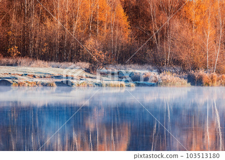 Forest by the lake at cold autumn morning. 103513180