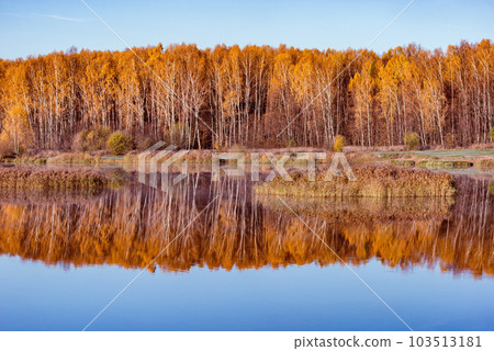 Forest by the lake at cold autumn morning. 103513181
