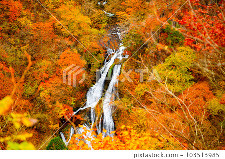 [栃木縣日光市]霧降瀑布 103513985