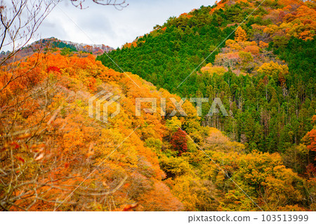 [Nikko City, Tochigi Prefecture] Kirifuri Falls 103513999