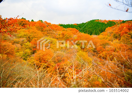 [Nikko City, Tochigi Prefecture] Kirifuri Falls 103514002