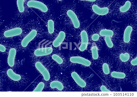 Bacteria. Close up of 3d microscopic bacteria. Bacteria Colony. Bacterium. Prokaryotic microorganisms. 3d illustration. Banner. Genetic mutation in bacteria can lead to antibiotic resistance. 103514110