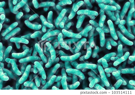 Bacteria. Close up of 3d microscopic bacteria. Bacteria Colony. Bacterium. Prokaryotic microorganisms. 3d illustration. Banner. Genetic mutation in bacteria can lead to antibiotic resistance. 103514111
