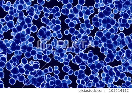 Bacteria. Close up of 3d microscopic bacteria. Bacteria Colony. Bacterium. Prokaryotic microorganisms. 3d illustration. Banner. Genetic mutation in bacteria can lead to antibiotic resistance. 103514112