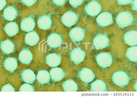 Bacteria. Close up of 3d microscopic bacteria. Bacteria Colony. Bacterium. Prokaryotic microorganisms. 3d illustration. Banner. Genetic mutation in bacteria can lead to antibiotic resistance. 103514113