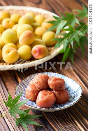 梅干和成熟的李子(紀州南高李子) 梅干和成熟的李子(紀州南高李子) 103514126
