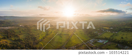 Amazing view of beautiful nature in Costa Rica. Green trees growing in rainy forest on gloomy day in costa rica Amazing view of beautiful nature in Costa Rica. Green trees growing in rainy forest on gloomy day in costa rica 103514221