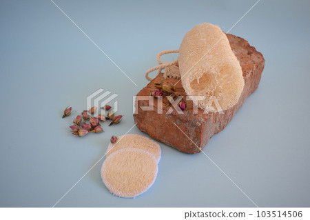 Natural Luffa Sponge. Body scrap with natural sponge . Natural Luffa Sponge. Body scrap with natural sponge . 103514506