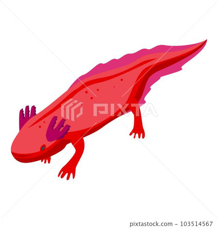 Axolotl animal icon. Isometric of axolotl animal vector icon for web design isolated on white background 103514567