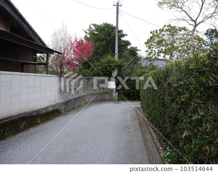 Strolling from Tonami Station on the Sotobo Line Strolling from Tonami Station on the Sotobo Line 103514644