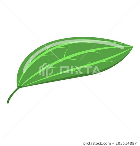 Cinnamon leaf icon. Isometric of cinnamon leaf vector icon for web design isolated on white background 103514887