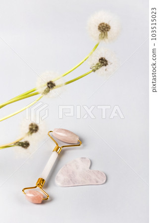 Pink jade roller and gua sha for face massage with flower dandelion. Facial massager tools. Anti age, lifting and toning care. Modern selfcare concept. Pink jade roller and gua sha for face massage with flower dandelion. Facial massager tools. Anti age, lifting and toning care. Modern selfcare concept. 103515023
