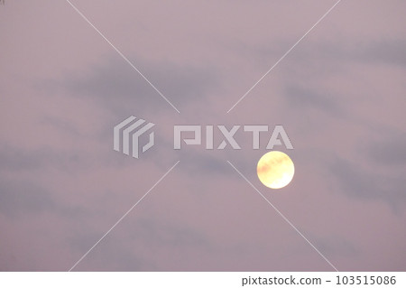 A full moon floating in the pink sky 103515086