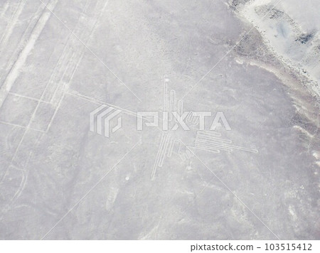 Nazca and Palpa Geoglyphs Nazca and Palpa Geoglyphs 103515412