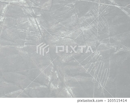 Nazca and Palpa Geoglyphs Nazca and Palpa Geoglyphs 103515414