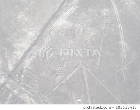 Nazca and Palpa Geoglyphs Nazca and Palpa Geoglyphs 103515415