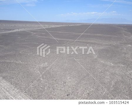 Nazca and Palpa Geoglyphs Nazca and Palpa Geoglyphs 103515424