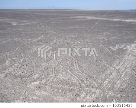Nazca and Palpa Geoglyphs Nazca and Palpa Geoglyphs 103515425