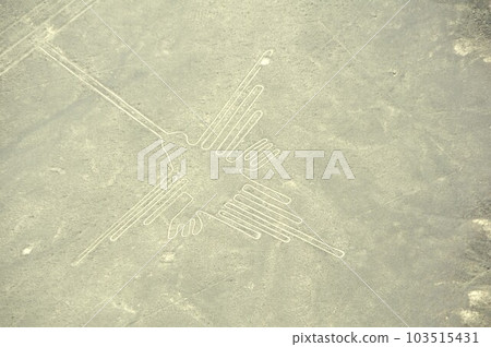 Nazca and Palpa Geoglyphs Nazca and Palpa Geoglyphs 103515431