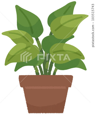 flower pot  103515743