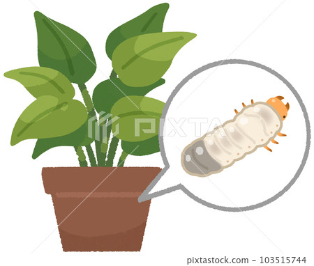 Flowerpot and scarab beetle larvae 103515744