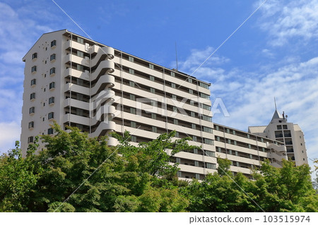 Blue sky and mansion Blue sky and mansion 103515974