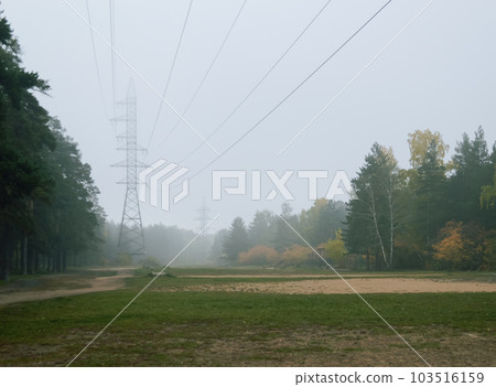 View of high power lines on an autumn morning in a foggy forest 103516159
