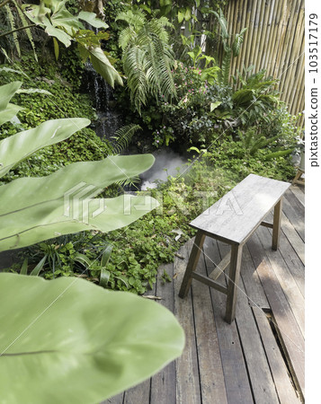 Green fern leaf with decorated in the garden Green fern leaf with decorated in the garden 103517179