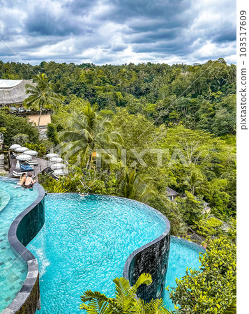 Jungle pool and bar overlooking rice terraces in Ubud, Bali, Indonesia Jungle pool and bar overlooking rice terraces in Ubud, Bali, Indonesia 103517609
