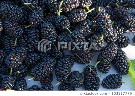 Fresh mulberries and leaves isolated on white wooden background. Top view, Healthy food. Fresh mulberries and leaves isolated on white wooden background. Top view, Healthy food. 103517779