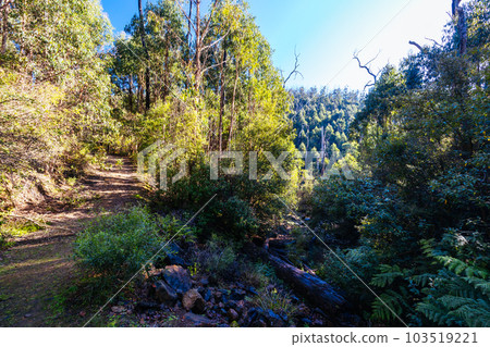 Mount Sugarloaf Ridge Track in Melbourne Australia Mount Sugarloaf Ridge Track in Melbourne Australia 103519221
