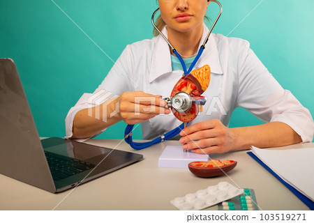 Doctor holding anatomical kidney model and stethoscope in his office 103519271