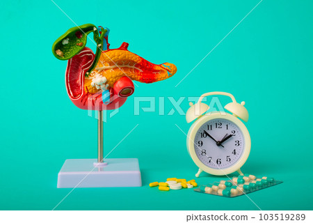Health check up and disease prevention concept. Anatomical model of human pancreas and alarm clock with medicines close-up 103519289
