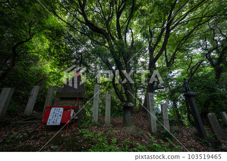 Landscape of Mt. Takao 103519465