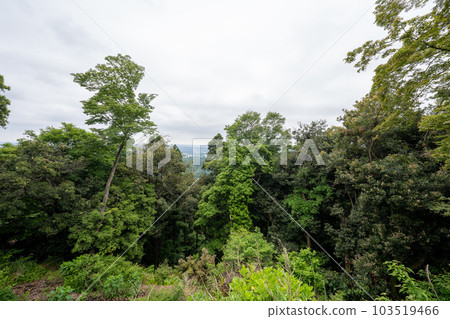 Landscape of Mt. Takao 103519466